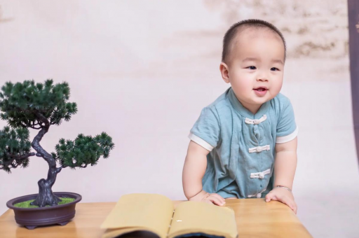 中国澳门可爱的企鹅宝宝